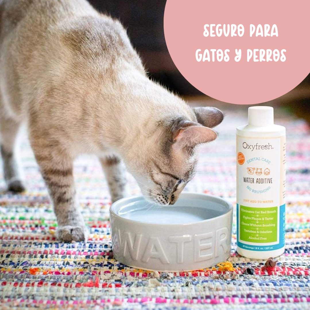 Solución liquida para el cuidado dental de Mascotas 8 oz